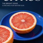 Citrus Magazine Cover Seedream 5.0 Pro Prompt