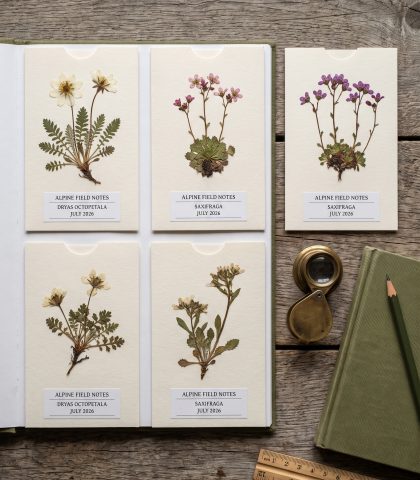 Pocket Herbarium Nano Banana Pro Prompt